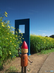 ドングリ坊やにどこでもドア