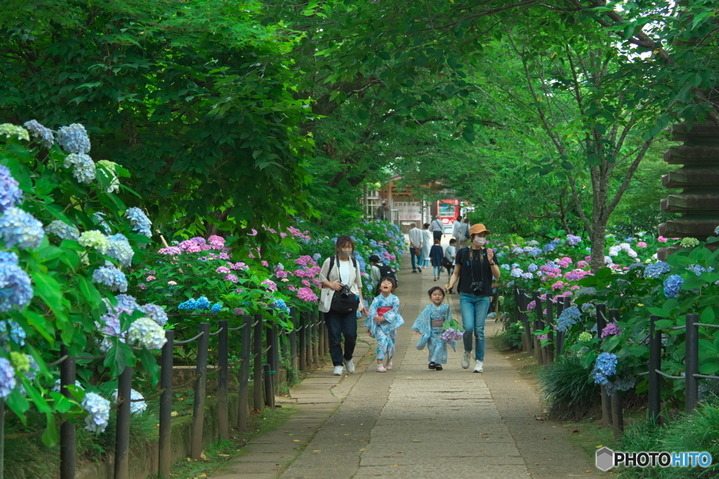 楽しいな　P6142875