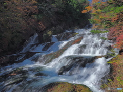 紅葉の中を下り流れる PA150587