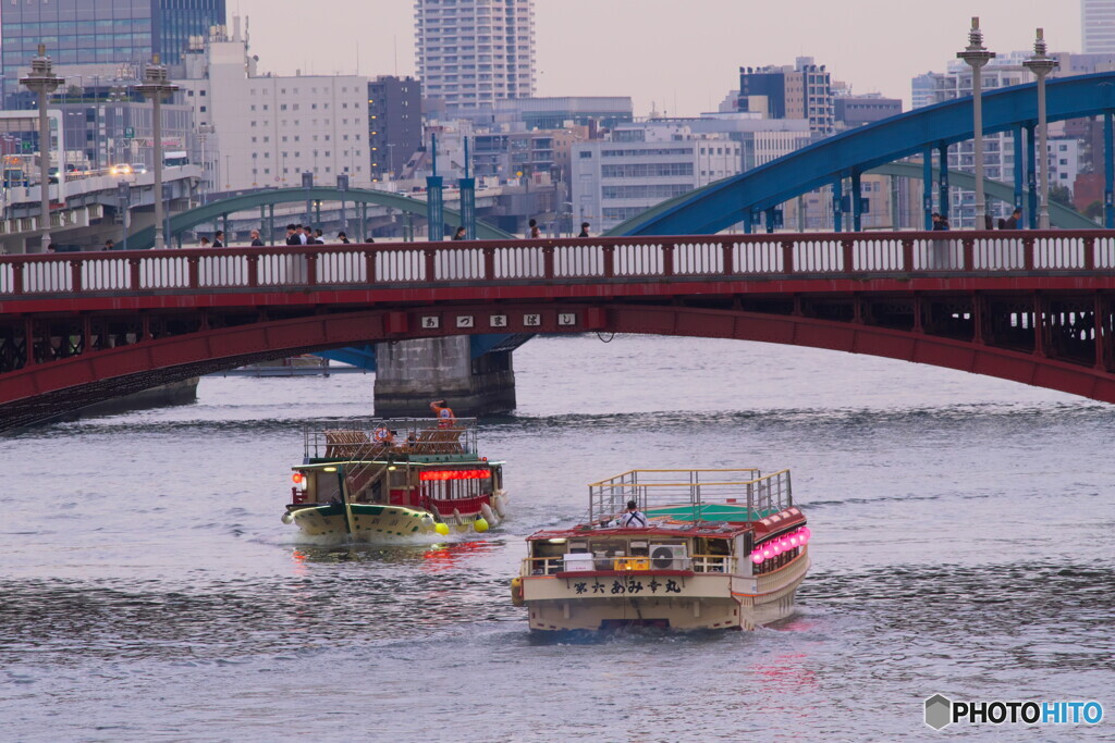屋形船と桜＃２