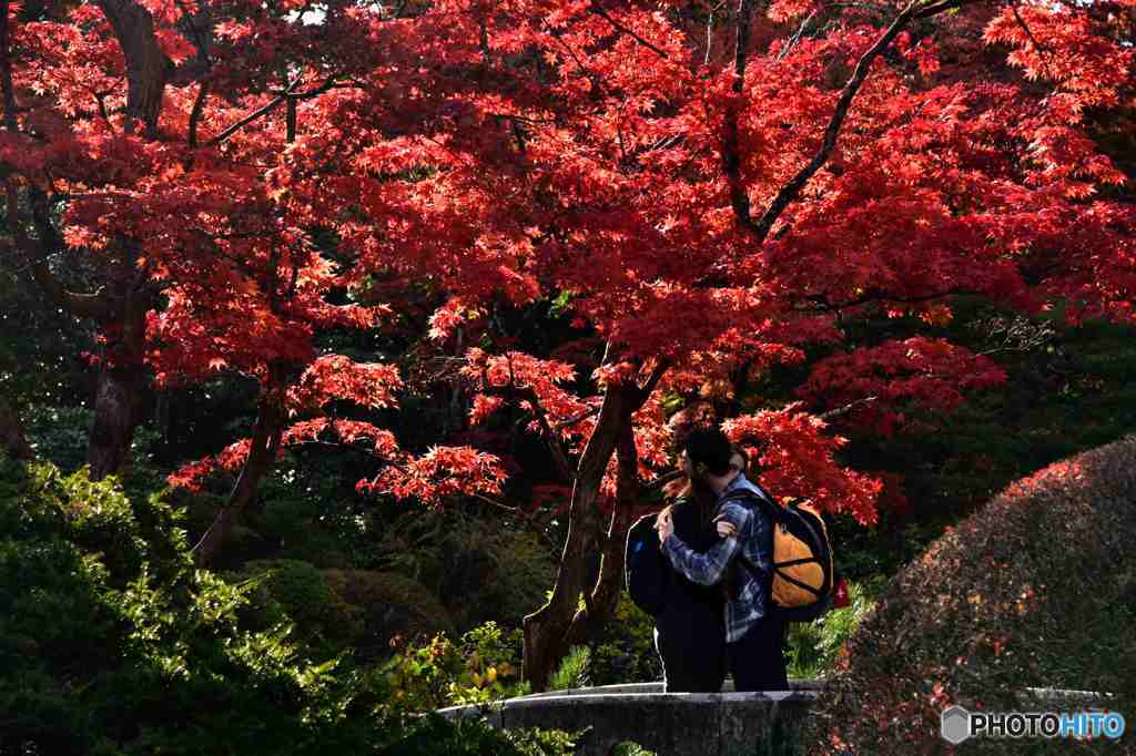 二人の愛は永久に