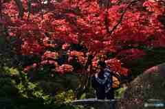 二人の愛は永久に