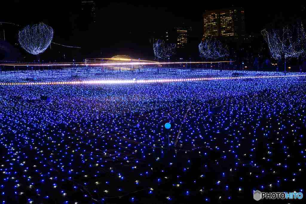 東京ミッドタウンのイルミその３