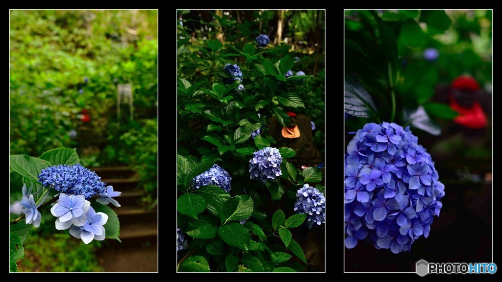 紫陽花と石仏～１