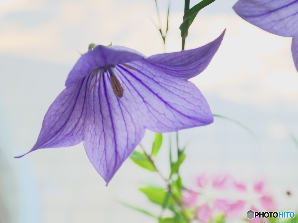 思い切ってハイキーで