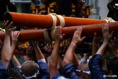 手、手、手・・・その１　P1060266