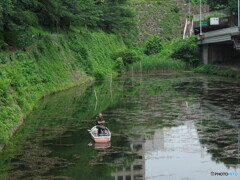 大都会のボート釣り＃２
