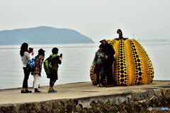 流された南瓜オブジェ　DSC_6190