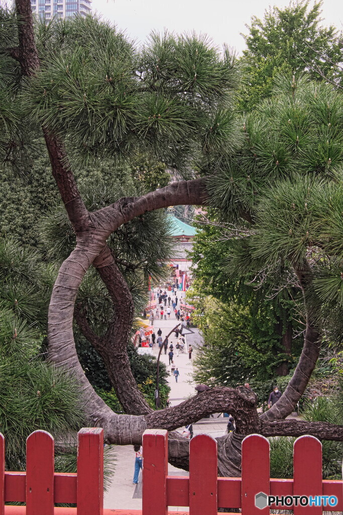 不忍池辨天堂＃２