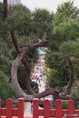 不忍池辨天堂＃２