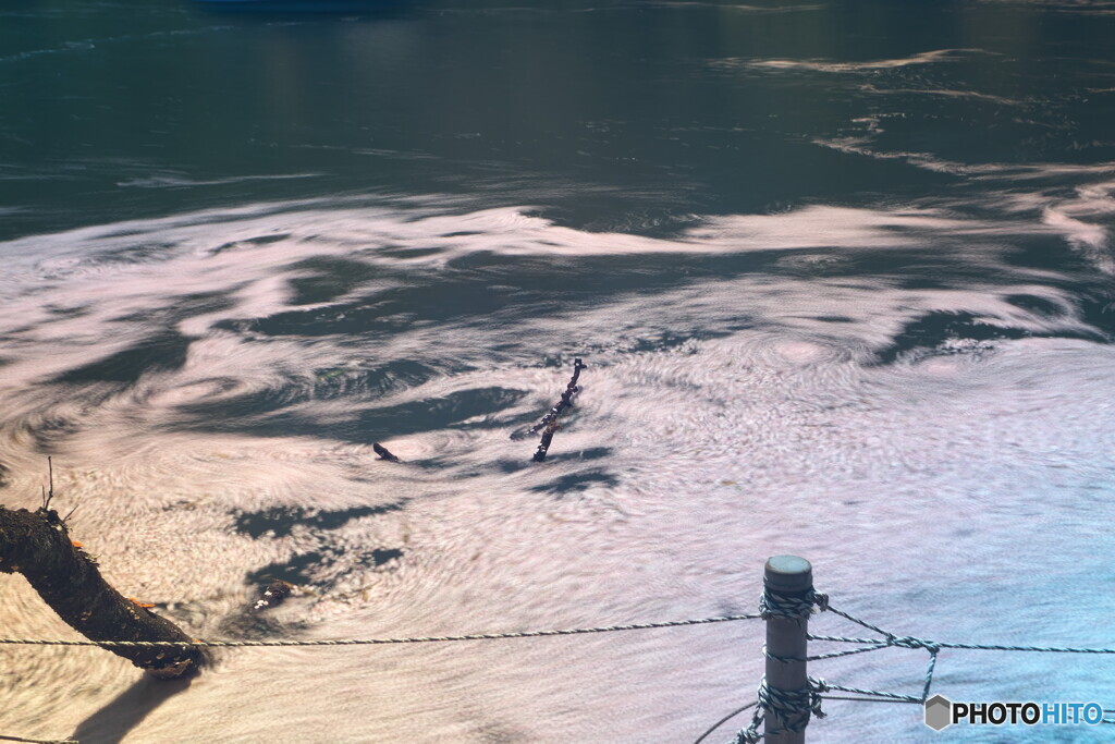 スローシャッターの花筏＃２