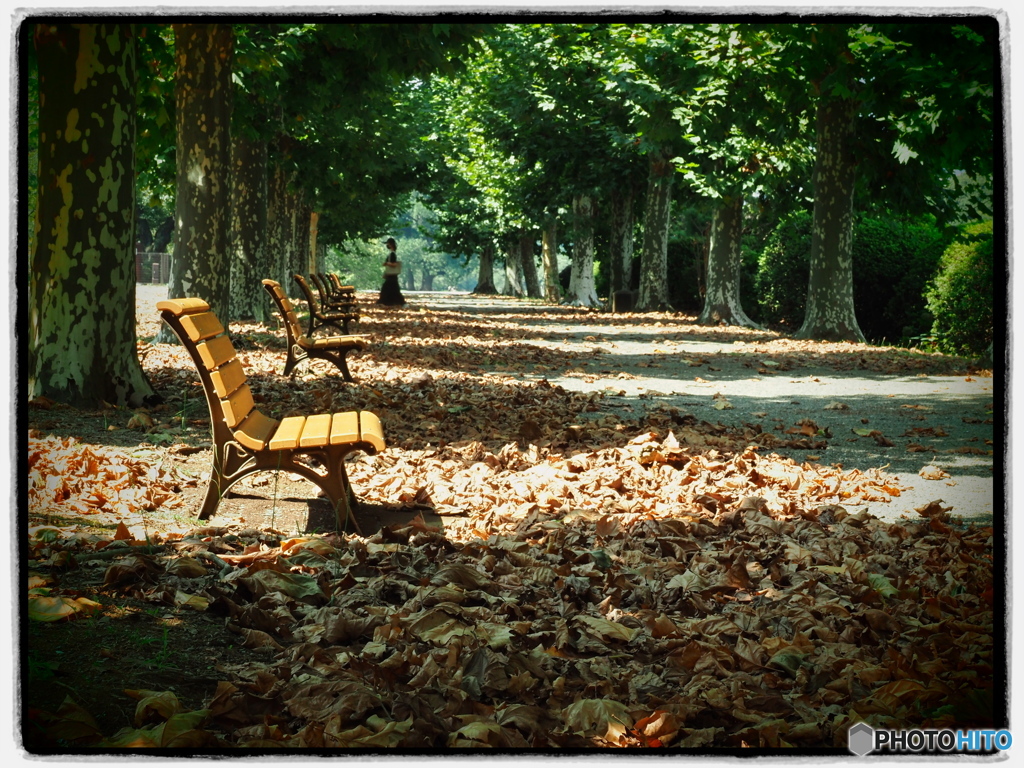 秋の兆し　P9153409