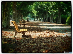 秋の兆し　P9153409