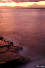 富士山を望んで　P1140083