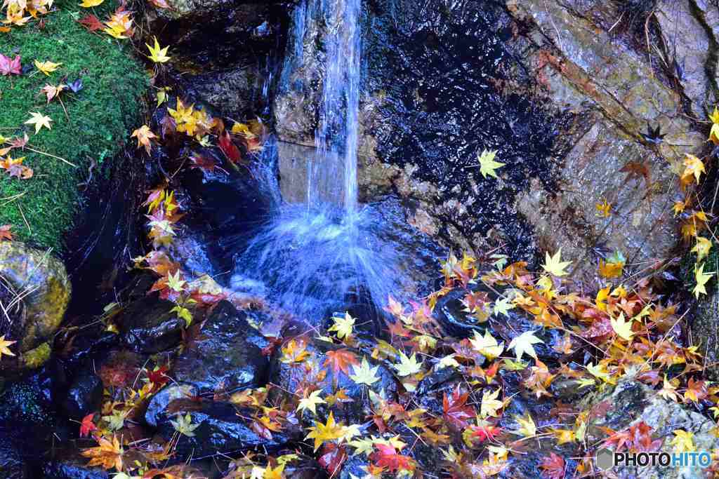 水の恵みその１