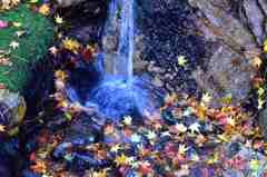 水の恵みその１