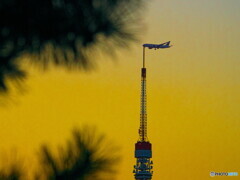 東京タワーと航空機＃１