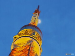 東京タワーと月～ライトアップ後