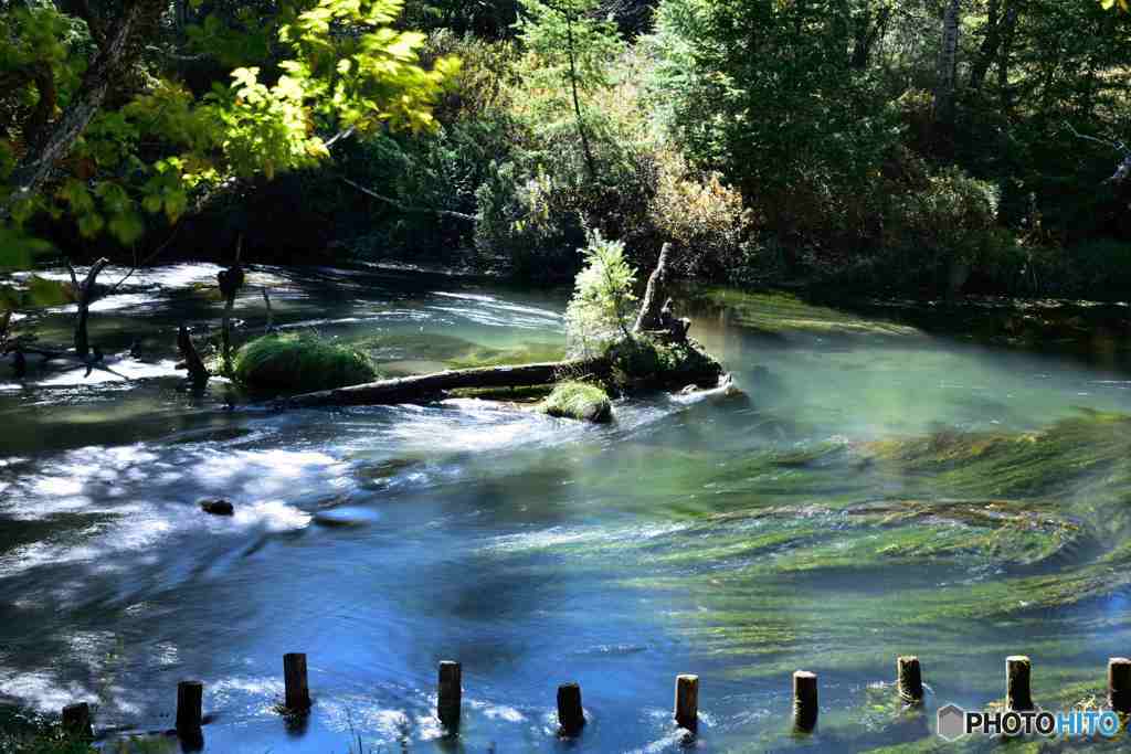 奥日光の初秋３－surfaceその１