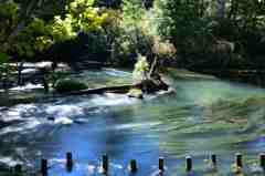 奥日光の初秋３－surfaceその１