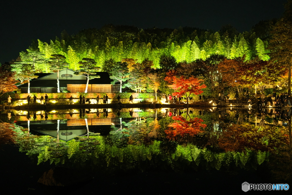 シンメトリーの世界