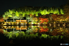 シンメトリーの世界