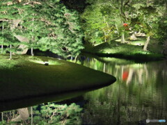 夜の小石川後楽園