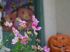 ハロウィンの日＃１