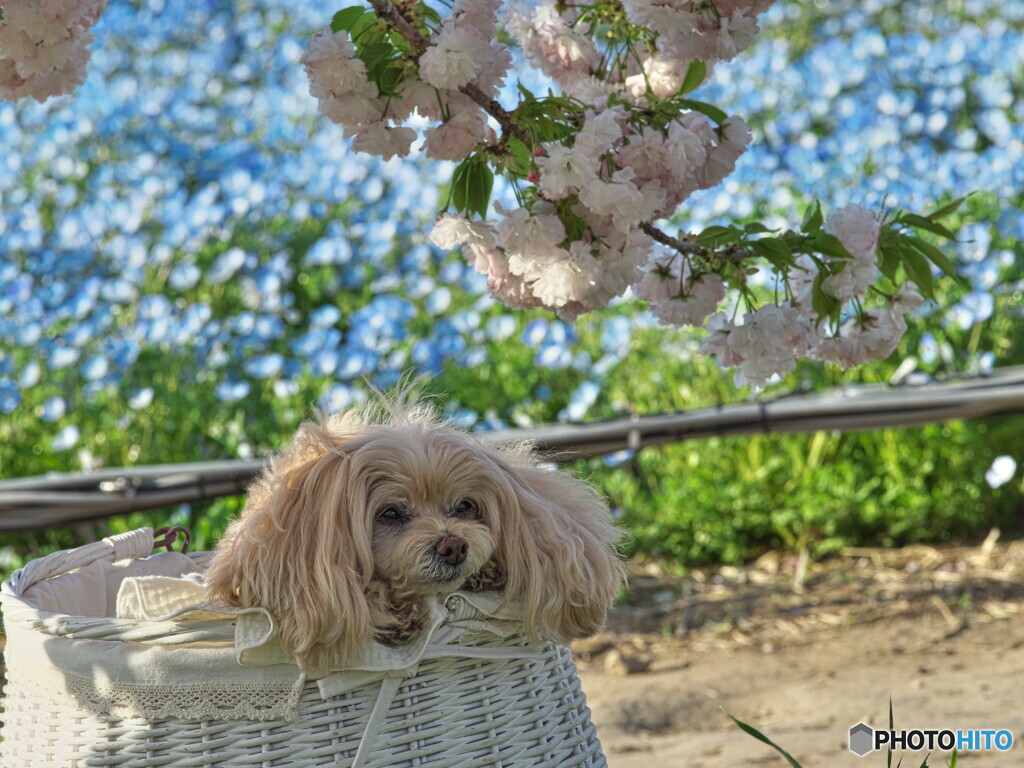 cute#2