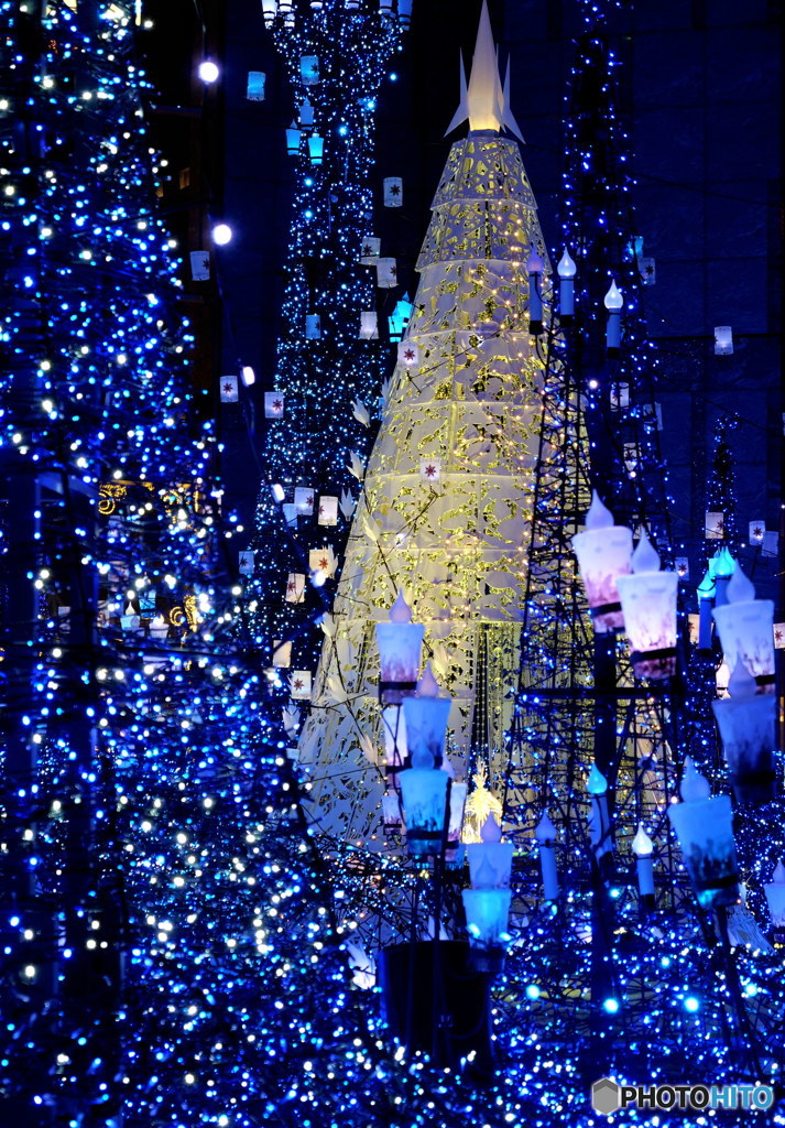 Merry Christmas~2  P1030116