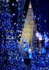 Merry Christmas~2  P1030116