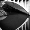 IMG_6756