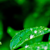 雨の日々①