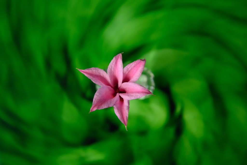 NZ7_2240