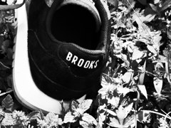 BROOKSの森　　CX4