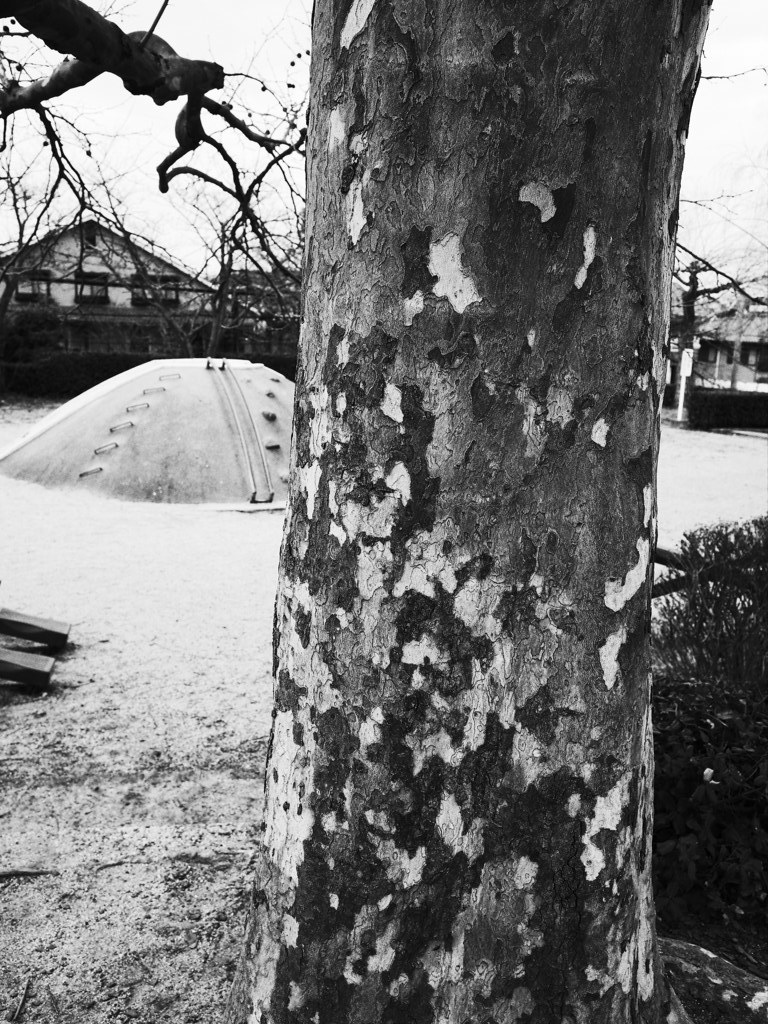 ジグソーパズルの木