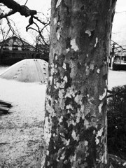 ジグソーパズルの木