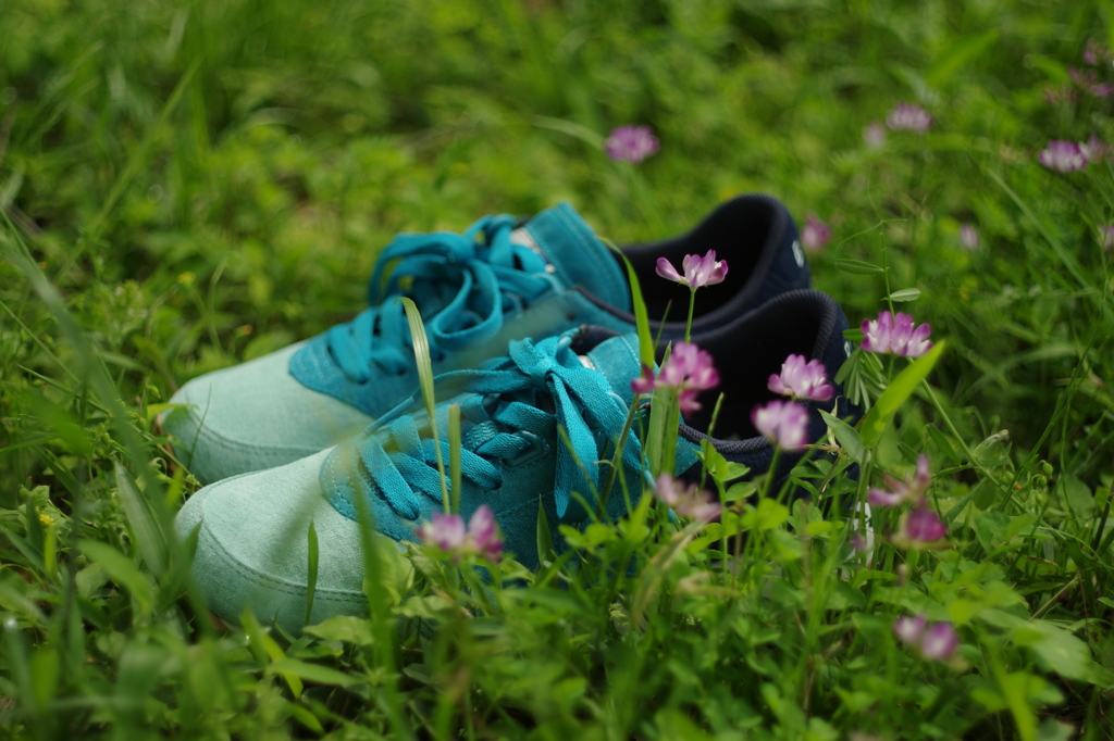 BROOKSの森　　Kー５ⅡS