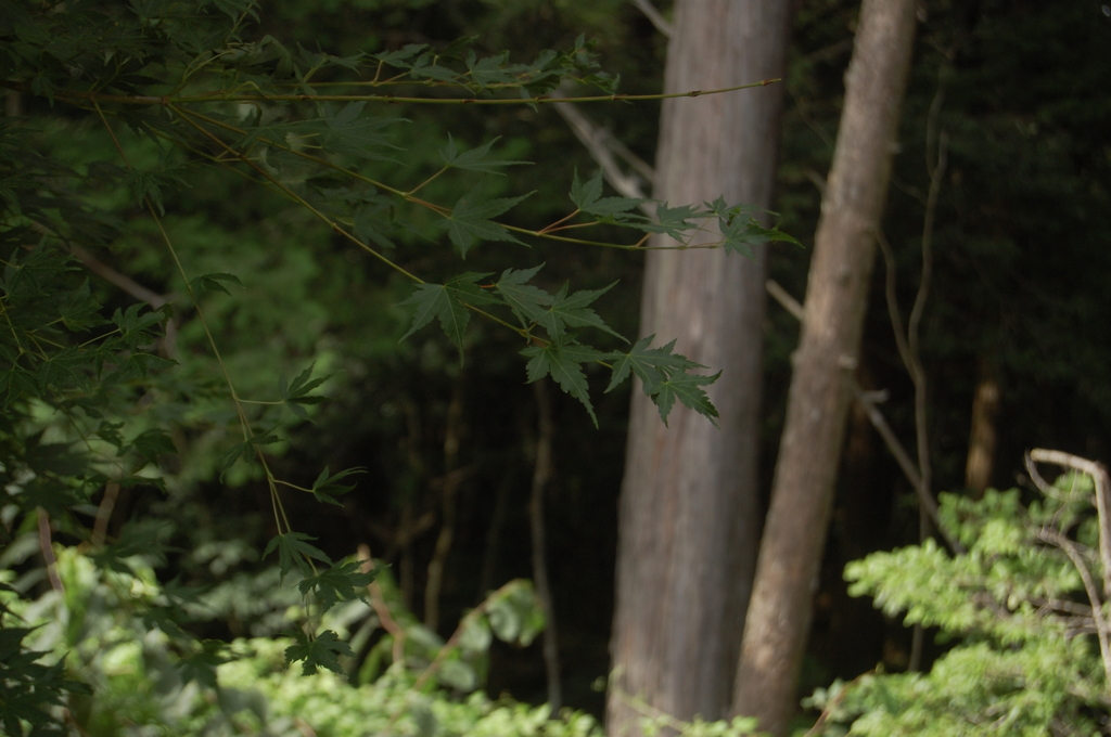 2015夏_08