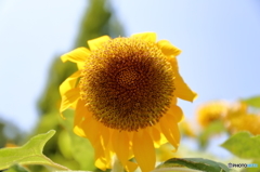 植物公園にて