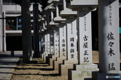 新庄の宮の夫婦楠（しんじょうのみやのめおとぐす）