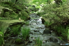 三景園 with ダンボー＆ポチ
