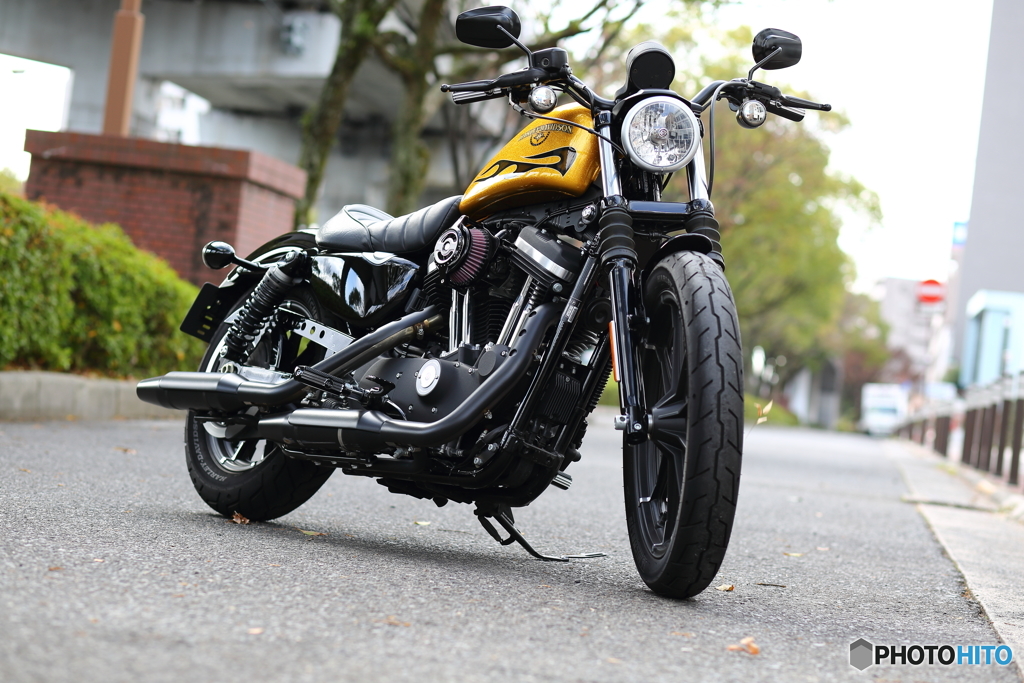 XL883N Sportster Iron カスタム ①