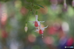 植物公園にて