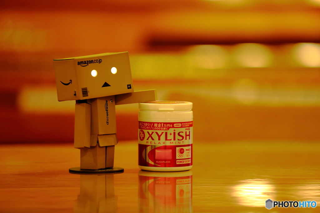 XYLISH with ダンボー