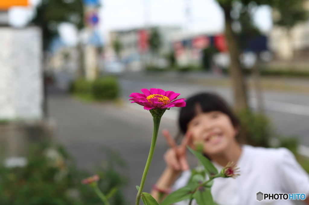 50mm F1.2　Lレンズ