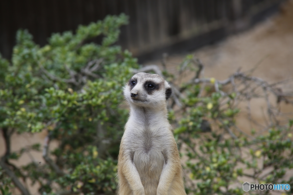 安佐動物園にて