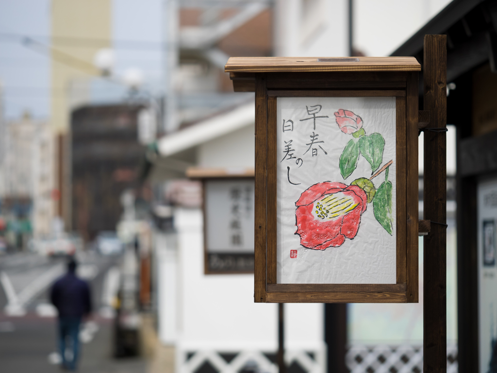 西条、酒蔵めぐり♪