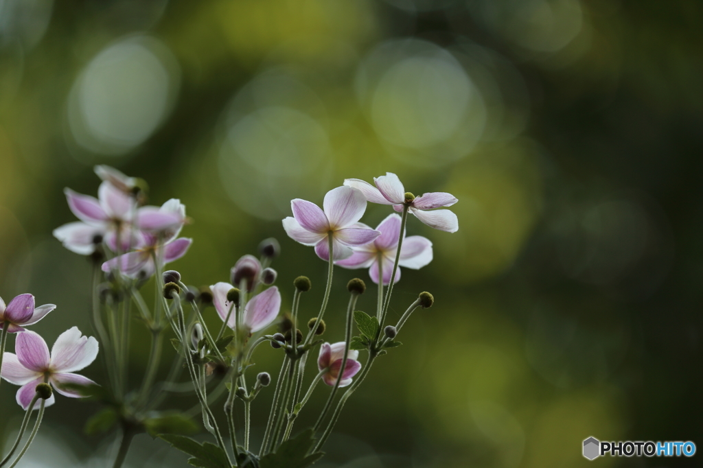 植物公園にて