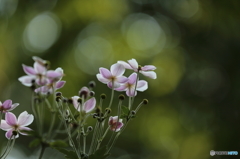 植物公園にて